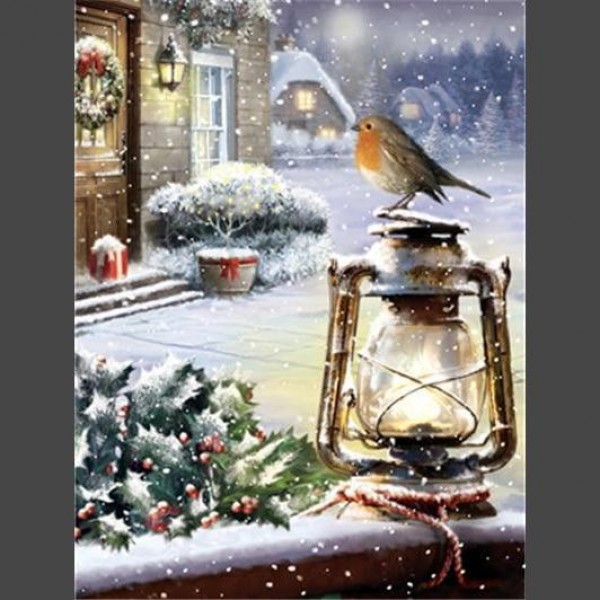 Vogel Schnee 2 Diamond Painting Diamant Malerei