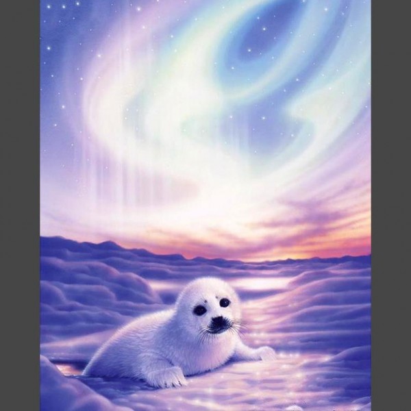 Seehund 1 Diamond Painting Diamant Malerei