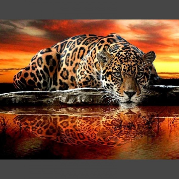 Leopard Diamond Painting Diamant Malerei 4SA121