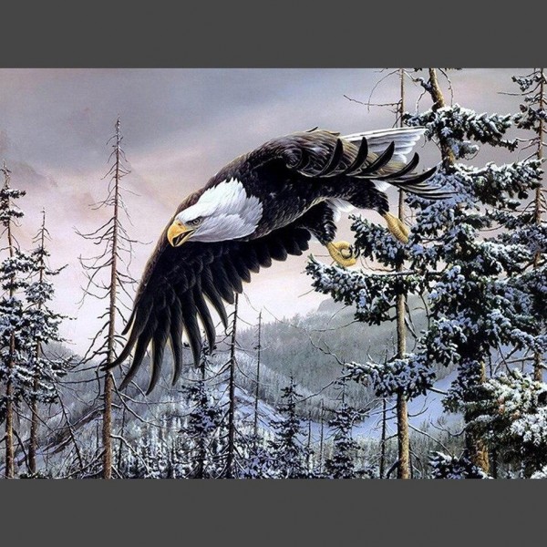 Adler 1 Diamond Painting Diamant Malerei