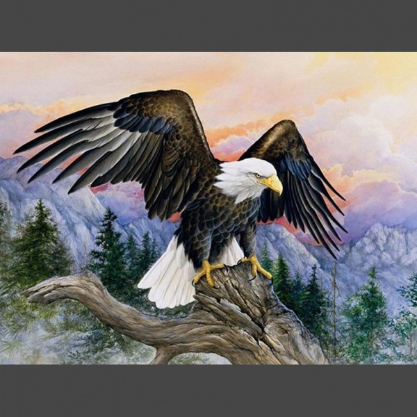 Adler 4 Diamond Painting Diamant Malerei